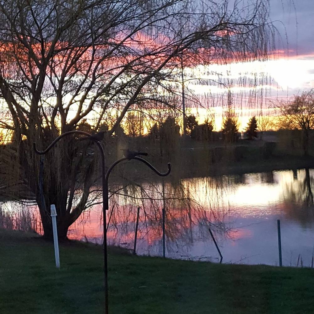 Meet your Posher, Bonnie